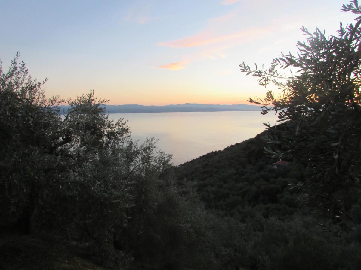 Holiday home το σπιτι με την σπηλιά Platanias (Thessaly)